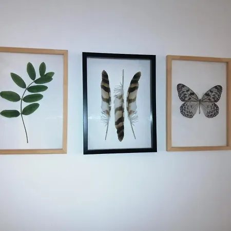 بيت للعطل The Violet House