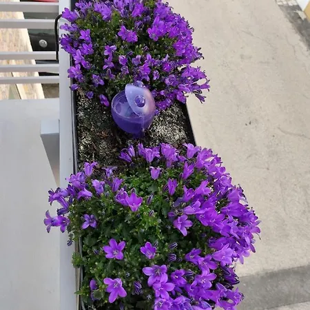 Ferienhaus The Violet House Costa Nova