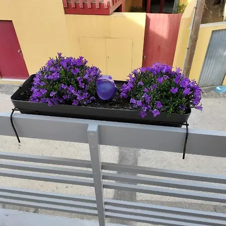 بيت للعطل The Violet House