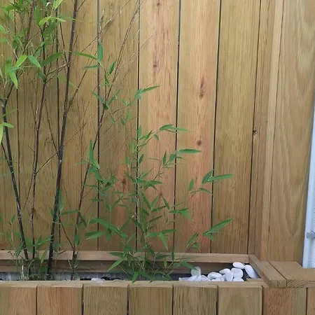 The Violet House كوستا نوفا