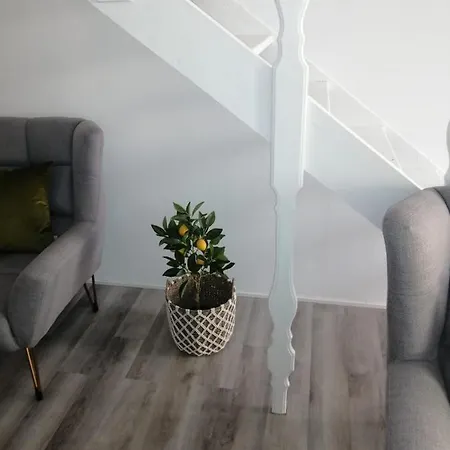 The Violet House بيت للعطل *