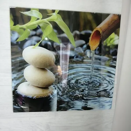 بيت للعطل The Violet House كوستا نوفا