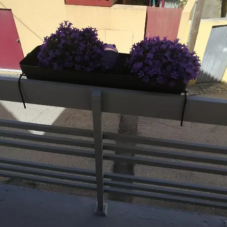 بيت للعطل The Violet House