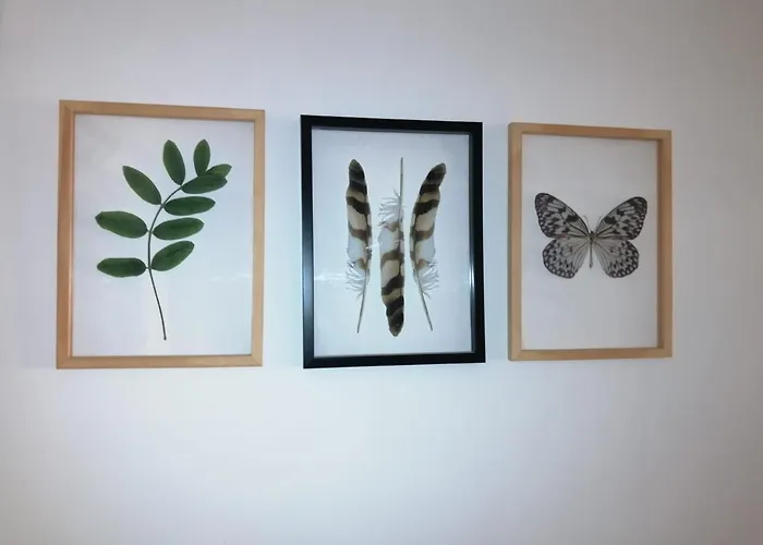 Дом отдыха The Violet House