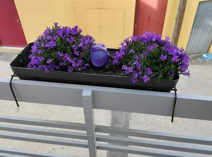 Дом отдыха The Violet House