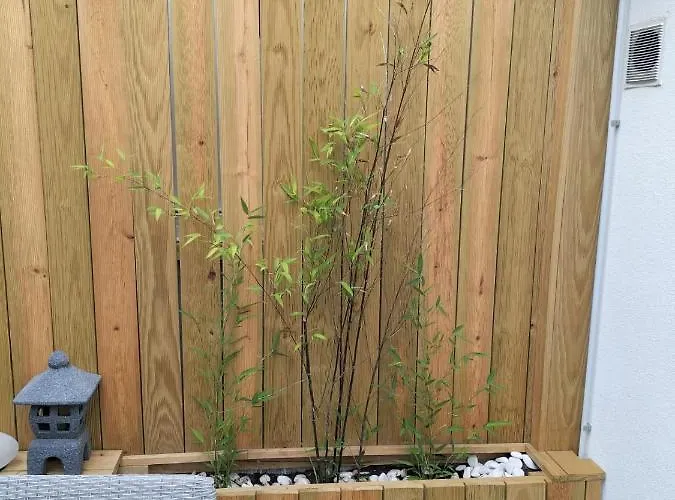 The Violet House * Кошта-Нова