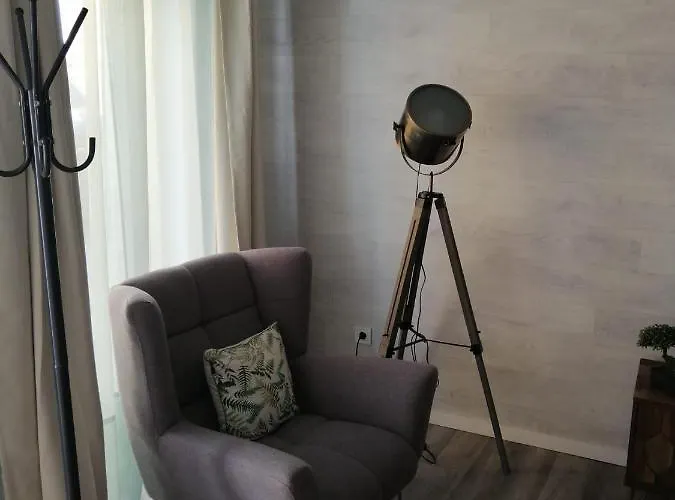 The Violet House * Кошта-Нова