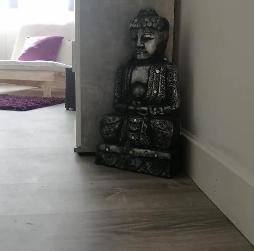 Дом отдыха The Violet House Кошта-Нова