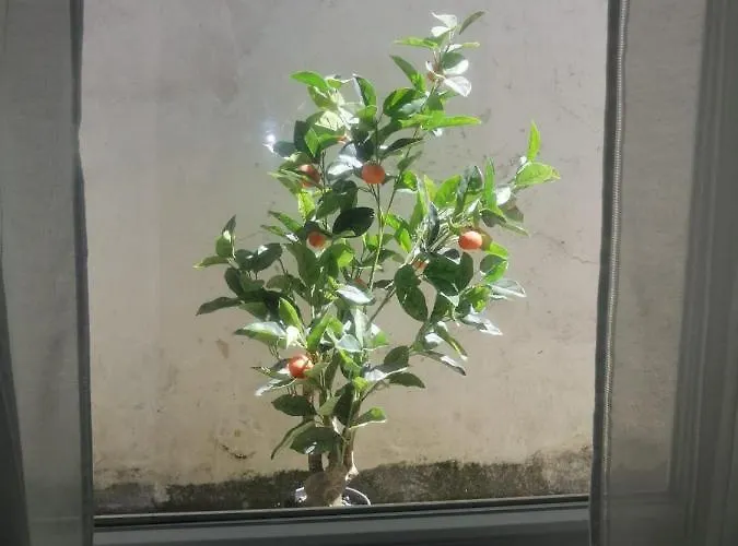 Дом отдыха The Violet House *