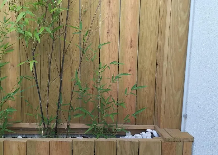 The Violet House Кошта-Нова