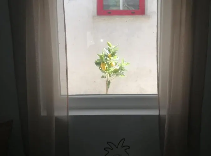 Дом отдыха The Violet House Кошта-Нова