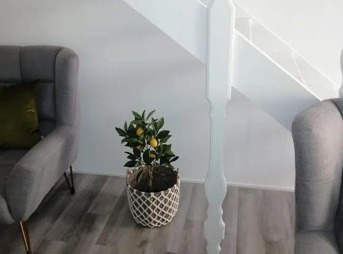 The Violet House Дом отдыха *