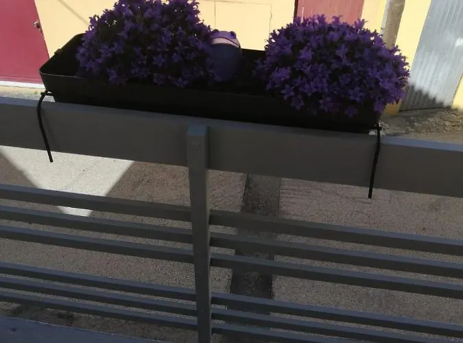 Дом отдыха The Violet House